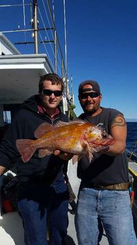11.5.15 Lingcod Limits Channel Islands-7