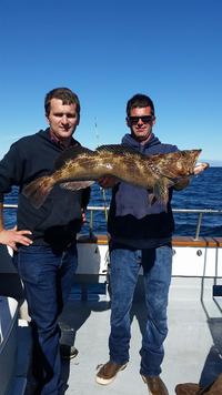 11.5.15 Lingcod Limits Channel Islands-8