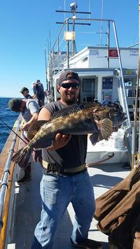 11.5.15 Lingcod Limits Channel Islands-9