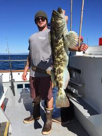 11.5.15 Lingcod Limits Channel Islands-12