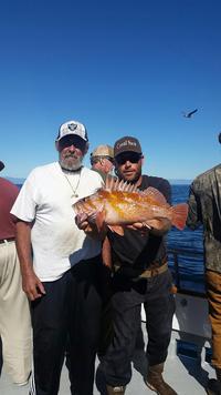 11.6.15 Ling-a-palooza Channel Islands-1