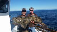 11.6.15 Ling-a-palooza Channel Islands-3