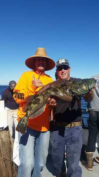 11.7.15 Lingcod Frenzy Santa Barbara, Channel Islands-2