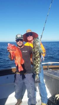 11.7.15 Lingcod Frenzy Santa Barbara, Channel Islands-5
