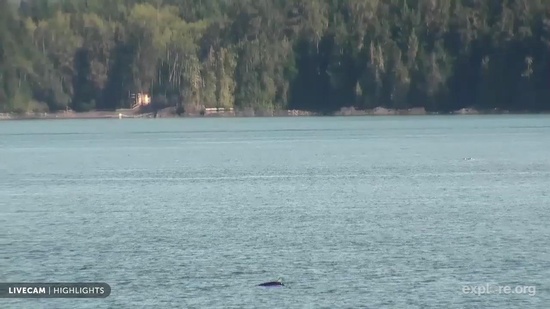 Orca Lab Base - Hanson, British Columbia