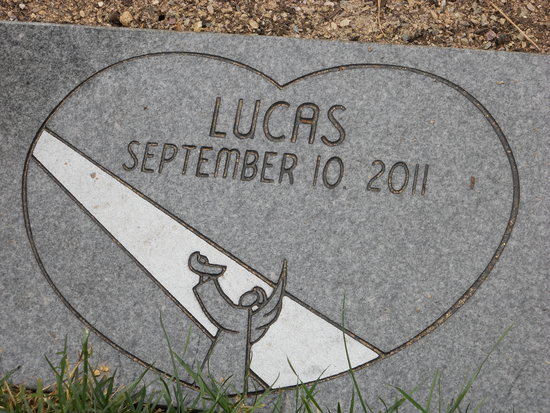 We Don't Just Bury Babies!-16