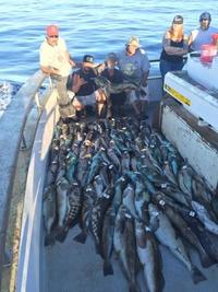 11.22.15 Santa Rosa Island fills the bags!-6