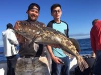 11.23.15 More Lingcod!-1