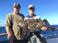 11.23.15 More Lingcod!-5