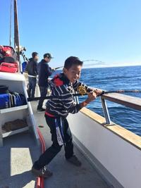 11.23.15 More Lingcod!-8