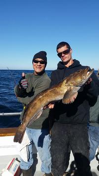 11.27.15 keep your leftovers, we got lingcod!-1