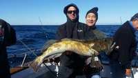 11.27.15 keep your leftovers, we got lingcod!-7