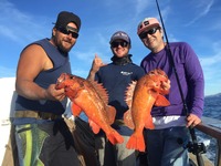 12.2.15 Reds, Coppers & lingcod!-2