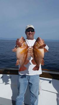 12.5.15 Quality fish, rough day-2