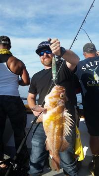 12.6.15 rockfish bite back up the coast!-1