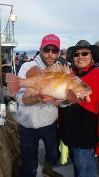 12.6.15 rockfish bite back up the coast!-9