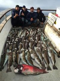 12.21.15 Huge Sheephead!-3