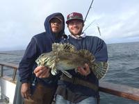 12.21.15 Huge Sheephead!-6