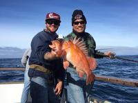 12.21.15 Huge Sheephead!-10