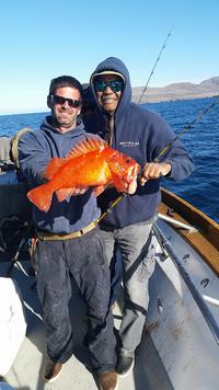 12.28.15 big fish shallow islands-2