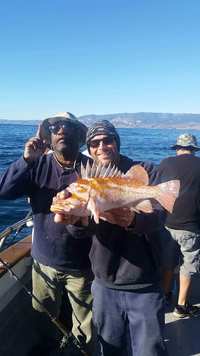 12.29.15 limits up the line-5