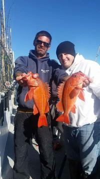 12.29.15 limits up the line-7