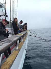 Coral Sea 90 min Limits!!-1