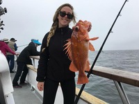 Fun day for Island Limits -10