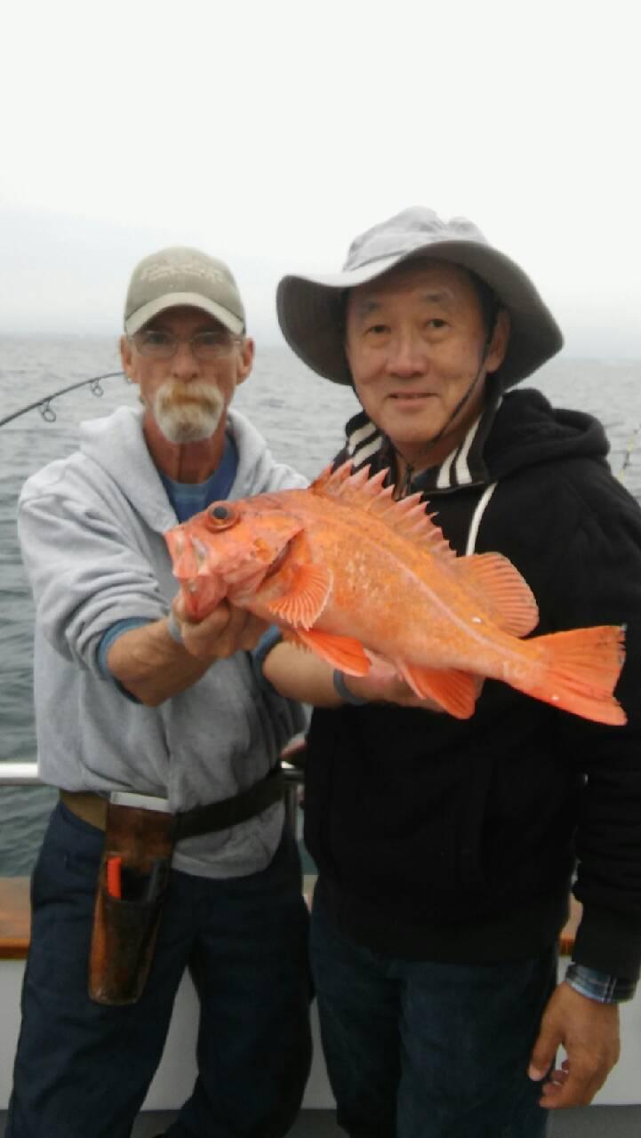More 1/2 day Rockfish Limits Stardust Sportsfishing Santa Barbara Ventura