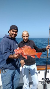 Fishing up the line-4