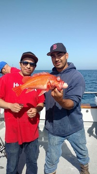 Fishing up the line-9