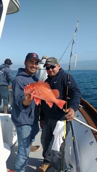 Fishing up the line-16