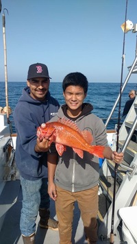 Fishing up the line-17