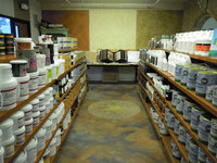 Show Room-13