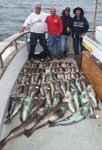 Lingcod.-3