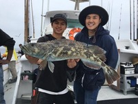 Lingcod.-4