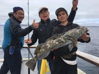Lingcod.-6