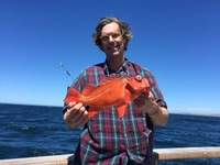 Coral Sea 3/4 Day Charter 6.18.16-2