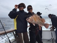 Coral Sea 8.9.16 lingcod-19