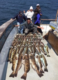 Coral Sea 8.9.16 lingcod-20