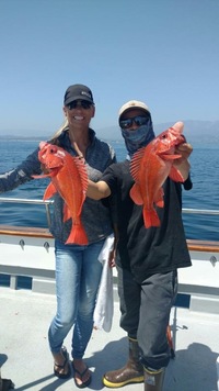 Stardust 8.10.16 1/2 day charter-18