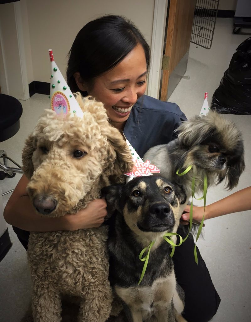 Pets Are Our Family - Carpinteria Veterinary Hospital