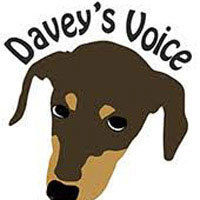 Davey's Voice Davey's Voice
