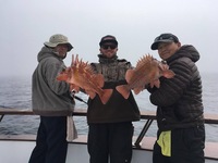 Coral Sea 3.13.17 3/4 day Islands