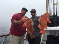 Coral Sea 3.14.17 3/4 day SRI