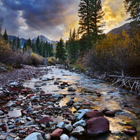 Aspen Photo Aspen Photo