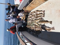 Coral Sea get the Lingcod @SRI
