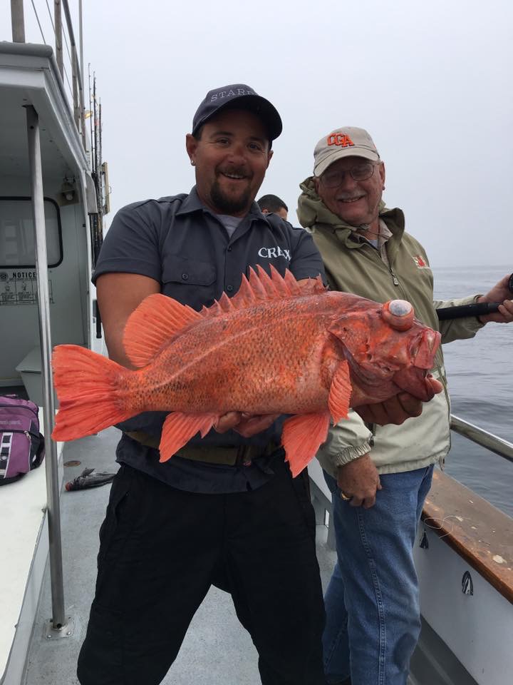 Lingcod & Rockfish Limits! Stardust Sportsfishing Santa Barbara Ventura
