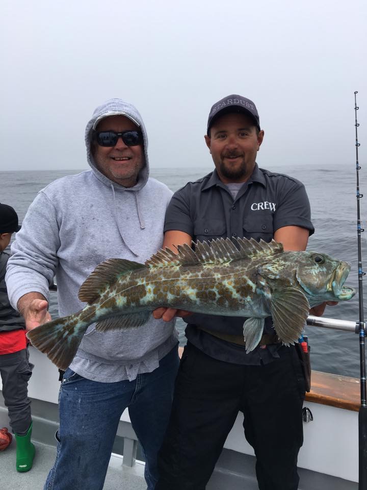 Lingcod & Rockfish Limits! Stardust Sportsfishing Santa Barbara Ventura