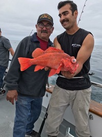 Nice Reds for Stardust Charter